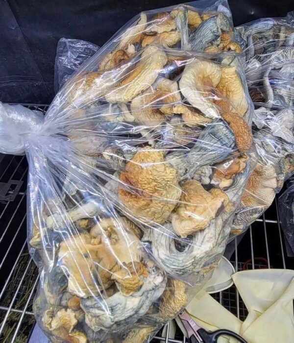 Buy Psychedelics Online UK