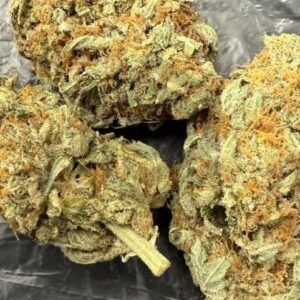 Alien Dawg, 25% THC [ INDICA ]