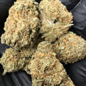 Mango Haze [ HYBRID ]