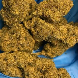 Buy Master Kush Import 24% THC UK