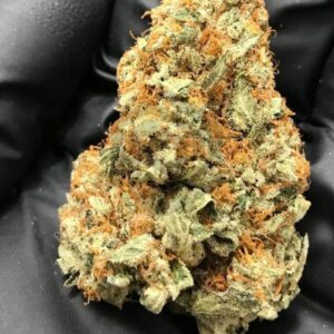 Purple Cookie Dawg [ INDICA ]