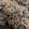Buy Purple Guava Dawg INDICA Online UK