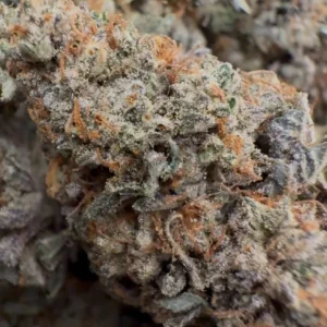 Purple Guava Dawg [ INDICA ]