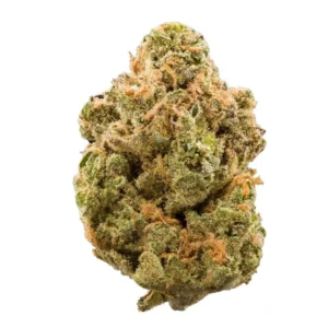Stardawg Hybrid