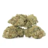Buy Authentic UK Cheese 3.5G Hybrid 20% THC Online
