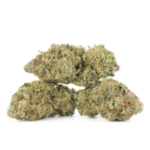 Authentic UK Cheese 3.5G, Hybrid 20% THC