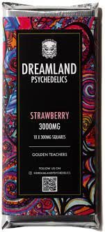 Dreamland-Psychedelics-Mushroom-Chocolate.jpg
