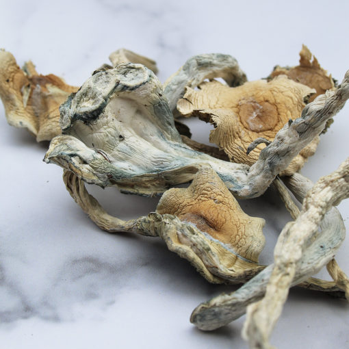 Anxiety Relief with Psilocybin