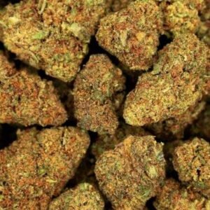 Buy Master Kush Import 24% THC Online UK