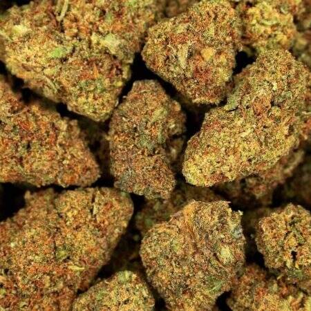 Buy Master Kush Import 24% THC Online UK Buy Master Kush Import 24% THC Online UK