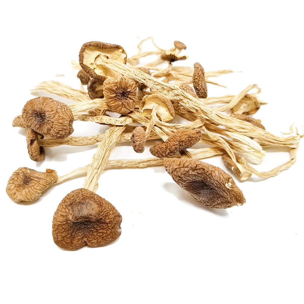 How to Buy Magic Mushrooms Online UK