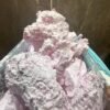 Buy Pink Champagne Speed Online UK